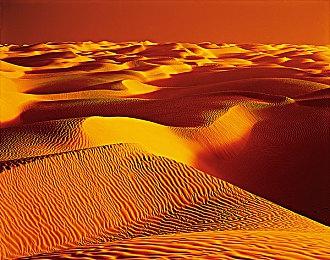 《心灵杀手2》发售16个月后终于回本了 销量超过了200万套