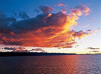 《浣熊硬探》下周登陆主机