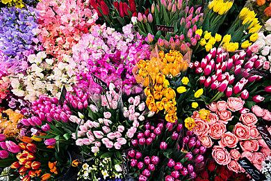 《8号出口》销量突破150万 手游版电影化热度再提升